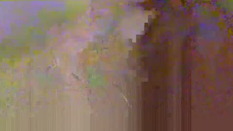 Snapshot of zobrythickock chatting on 29, 10, 2025 zobrythickock online show from 29, 10, 2025