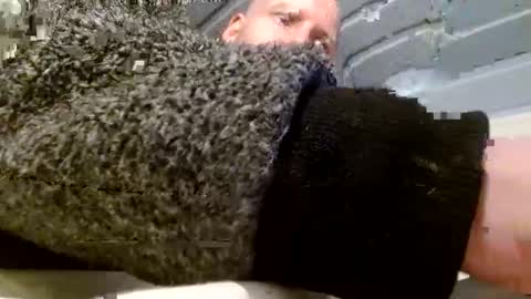 zolexthomas online show from 26, 1, 2025