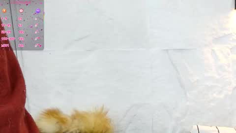 Violeta online show from 5, 12, 2025