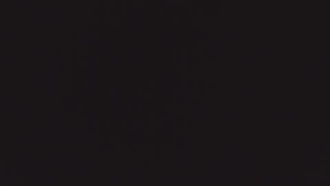 ZURY   online show from 22, 10, 2025