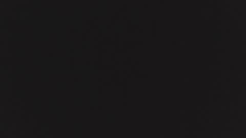 ZURY   online show from 24, 10, 2025