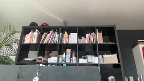 zwickauer1969 online show from 27, 2, 2025