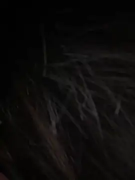 Serena-AU online show from 15, 1, 2026