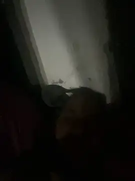 punhetaba online show from 24, 2, 2026