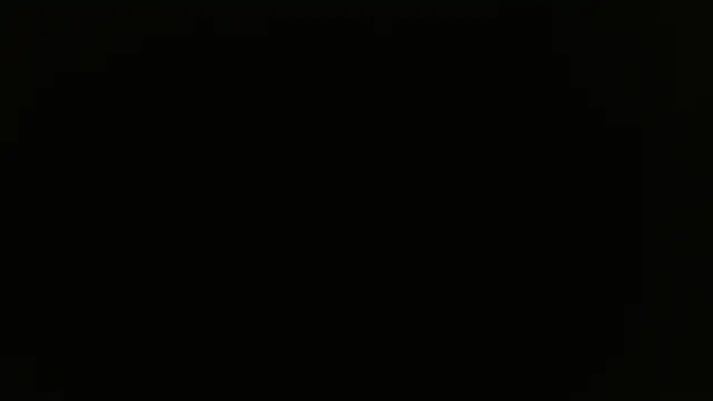 miley jensen online show from 19, 12, 2024