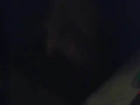 Snapshot of Ethan_29 chatting on 4, 2, 2026 Ethan 29 online show from 4, 2, 2026