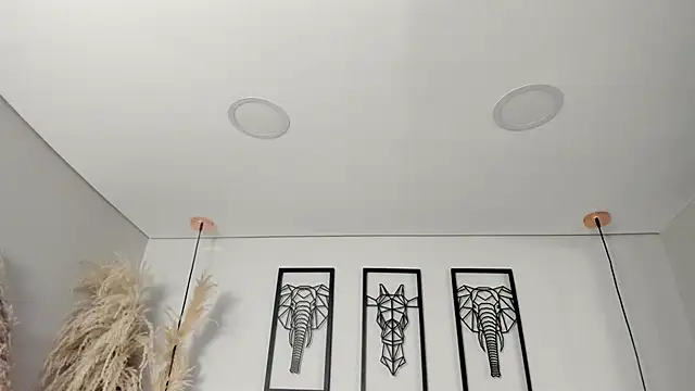 Snapshot of Rebeca_jones chatting on 16, 10, 2025 Rebeca jones online show from 16, 10, 2025