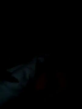 Snapshot of michele1500 chatting on 25, 11, 2025 michele1500 online show from 25, 11, 2025