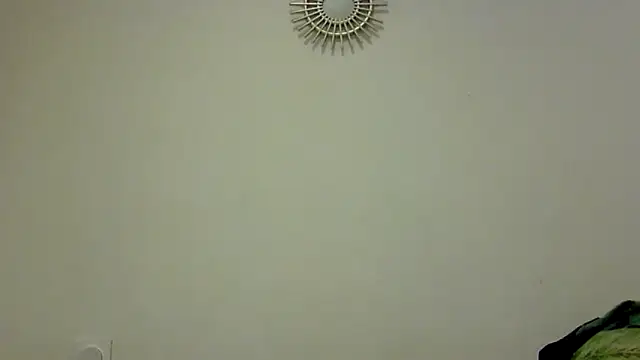 Snapshot of feline27 chatting on 24, 10, 2025 feline27 online show from 24, 10, 2025