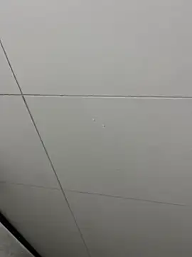 Tintola online show from 23, 2, 2026