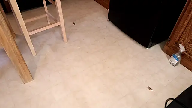 xxpixeyxx online show from 12, 2, 2026