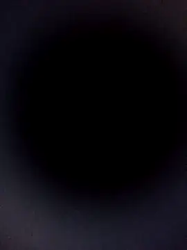 Carlabrasileira online show from 9, 11, 2025