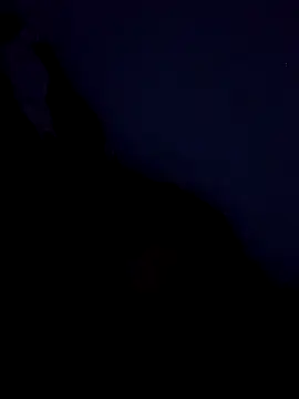 stefanie010 online show from 19, 3, 2026