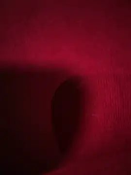 Snapshot of RavenM8 chatting on 11, 2, 2026 RavenM8 online show from 11, 2, 2026