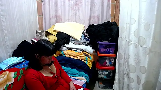 Snapshot of Malaya88 chatting on 13, 2, 2025 Malaya88 online show from 13, 2, 2025