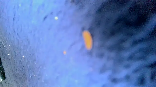 Snapshot of bigcocktat2dude603 chatting on 6, 12, 2024 bigcocktat2dude603 online show from 6, 12, 2024