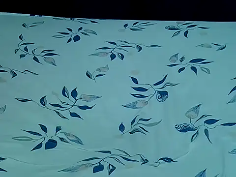 HoneyBun143 online show from 11, 4, 2026