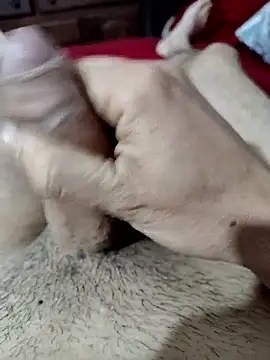 quierodarleche69 online show from 31, 10, 2025