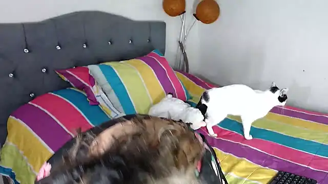 Snapshot of Chantal_hott chatting on 18, 10, 2025 Chantal hott online show from 18, 10, 2025