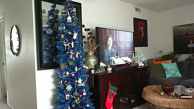 Snapshot of CeceilaMoon chatting on 29, 11, 2025 CeceilaMoon online show from 29, 11, 2025