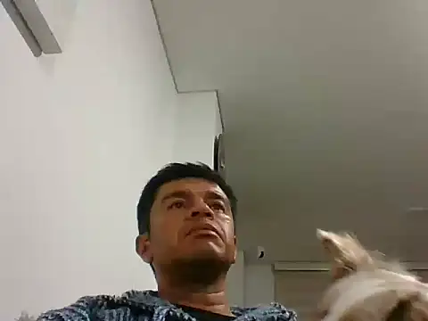 perxxxeo  online show from 11, 10, 2025