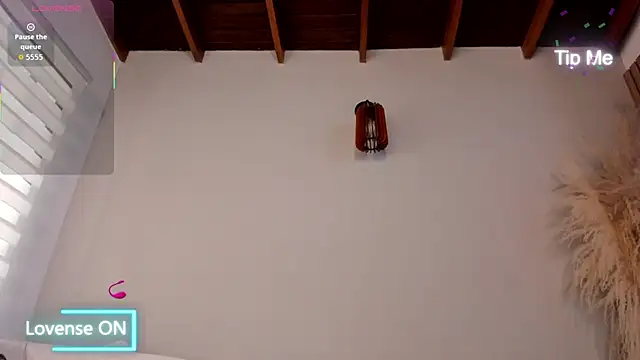 Snapshot of neo_dimou_ chatting on 4, 11, 2025 neo dimou online show from 4, 11, 2025