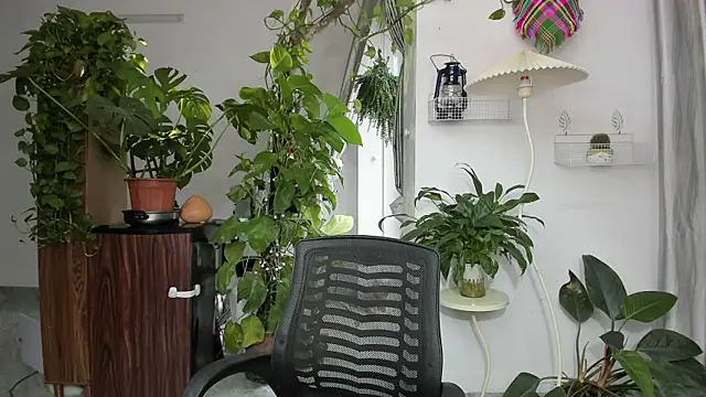 Snapshot of Oliver_Nl chatting on 17, 11, 2025 Oliver Nl online show from 17, 11, 2025