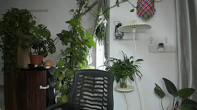 Snapshot of Oliver_Nl chatting on 19, 11, 2025 Oliver Nl online show from 19, 11, 2025