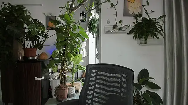 Snapshot of Oliver_Nl chatting on 14, 12, 2025 Oliver Nl online show from 14, 12, 2025