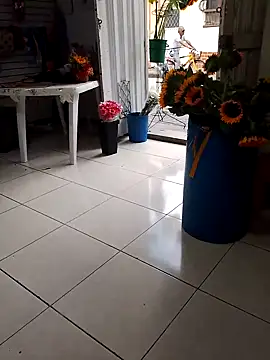 VivienAndClark online show from 18, 10, 2025