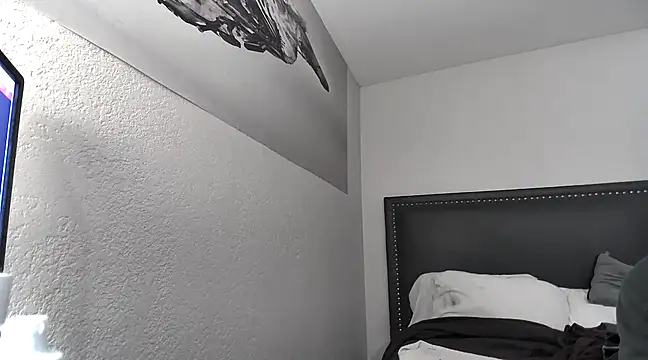 Snapshot of Phattpinktaco chatting on 24, 2, 2025 Phattpinktaco online show from 24, 2, 2025