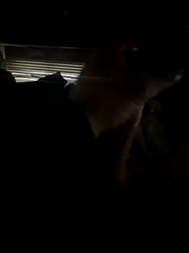 Snapshot of dickemdowncharleybrown chatting on 17, 12, 2025 dickemdowncharleybrown online show from 17, 12, 2025