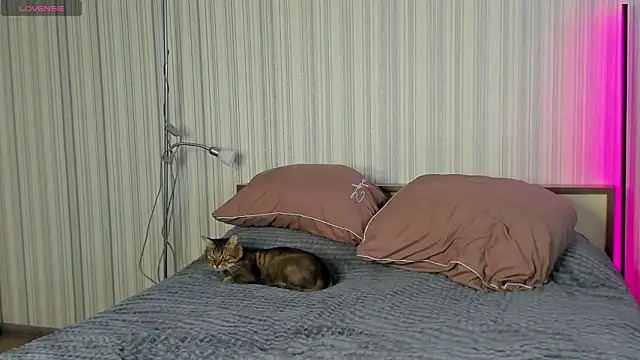 bloomweb online show from 6, 2, 2026