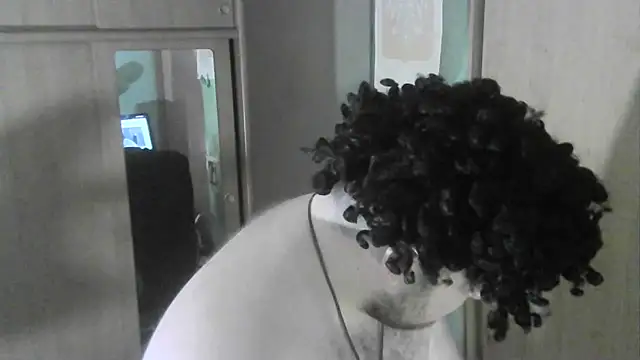 perversalus online show from 10, 11, 2025