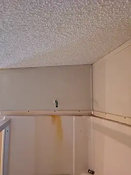 Snapshot of Dixiefaye_Pika chatting on 18, 2, 2025 Dixiefaye Pika online show from 18, 2, 2025