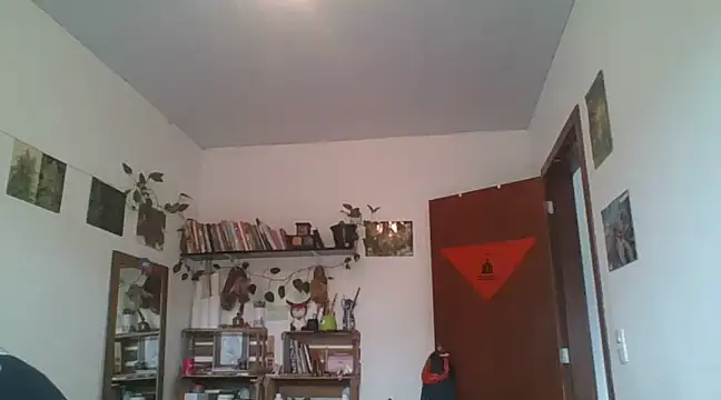 SweetyBabyDemon online show from 9, 12, 2024