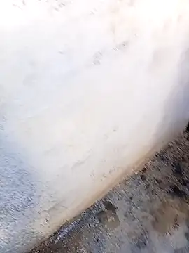 Snapshot of rau_4455 chatting on 5, 11, 2025 rau 4455 online show from 5, 11, 2025