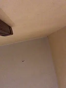 ClatteryPrexy online show from 19, 3, 2026