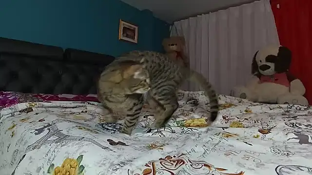 valen1580 online show from 13, 2, 2025