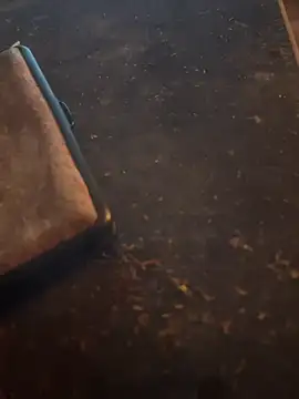 FreshWonder0 online show from 17, 11, 2025