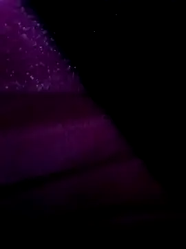 egyptman220 online show from 12, 3, 2026