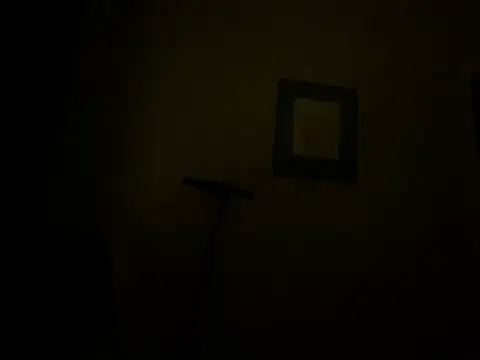 Snapshot of jerkitcentral chatting on 15, 12, 2024 jerkitcentral online show from 15, 12, 2024