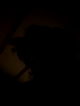 habbockwiesau online show from 22, 11, 2025