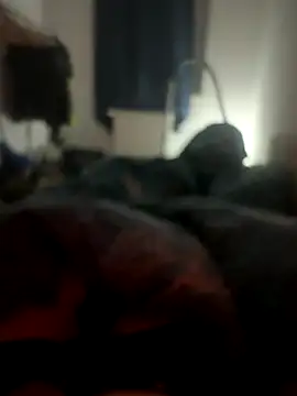 habbockwiesau online show from 24, 11, 2025