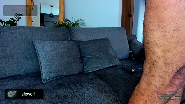 alex wolf  online show from 25, 2, 2026