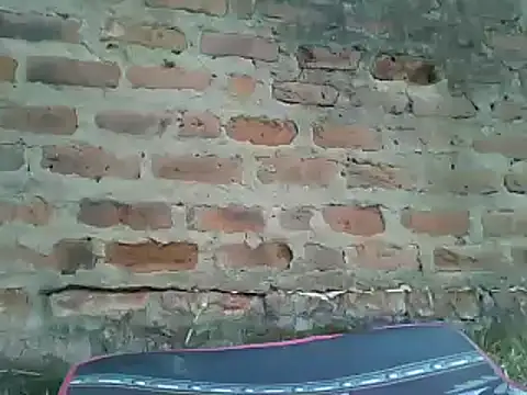 Javan  online show from 13, 1, 2025