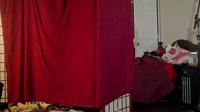 Ireallysquirt online show from 16, 1, 2025