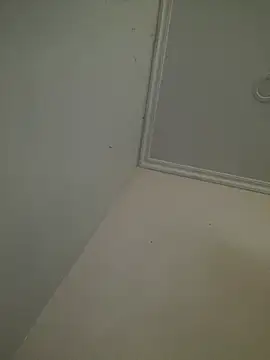 CieloTaylor online show from 25, 2, 2026