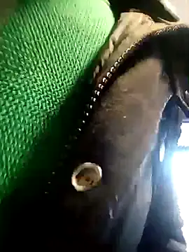 Snapshot of BZHsex chatting on 9, 3, 2025 BZHsex online show from 9, 3, 2025