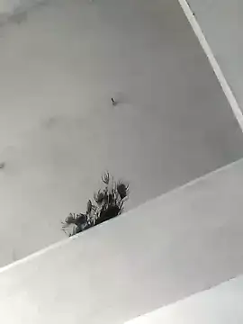 Mafiya1604 online show from 22, 10, 2025